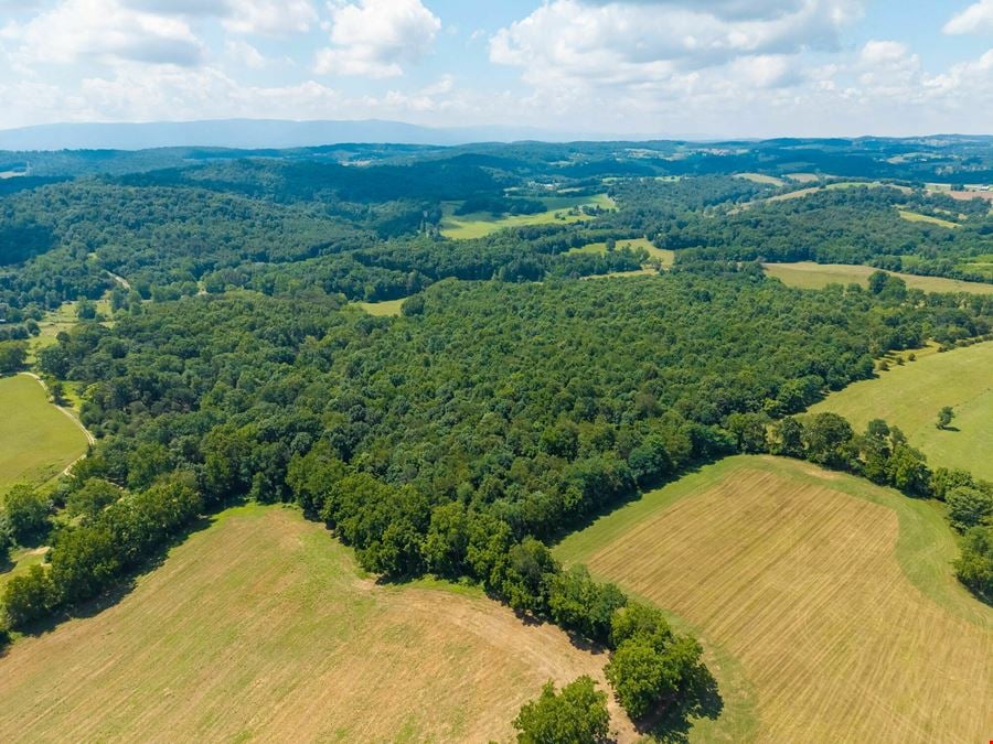 110-ACRES OF SCENIC RECREATIONAL & FARM LAND
