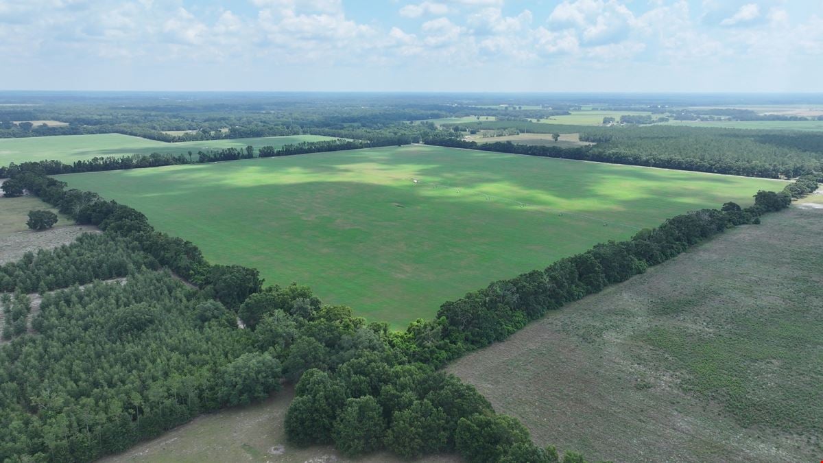 Suwannee County Quarter Section Farm