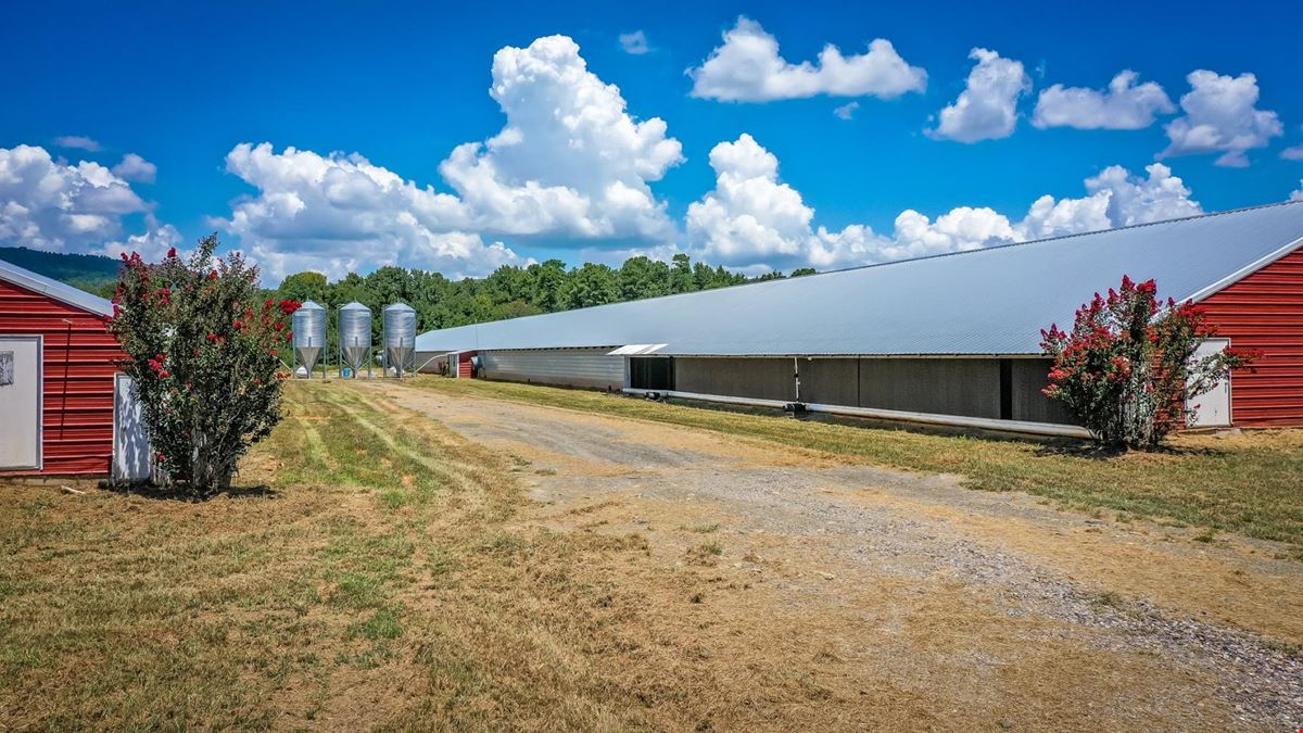 Mena AR Broiler Chicken Farm
