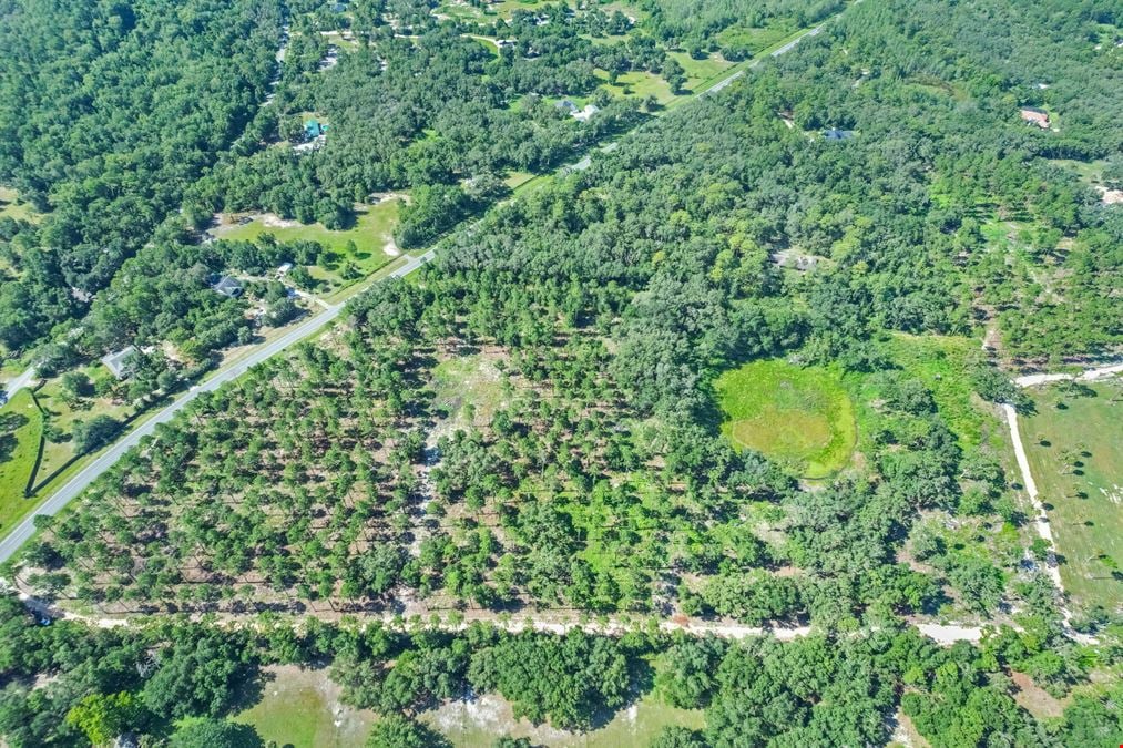C.R. 439 - 20 Acres