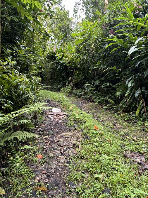 Hana Highway, Hana, HI 96713