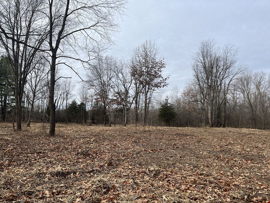 Vacant Land Opportunity for Sale - Chelsea