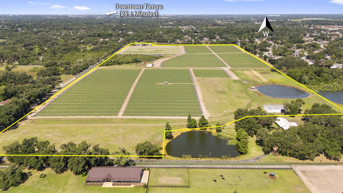Old Hillsborough Lakefront Development