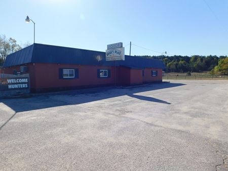 Preview of Retail space for Sale at 9567 Chippewa Hwy