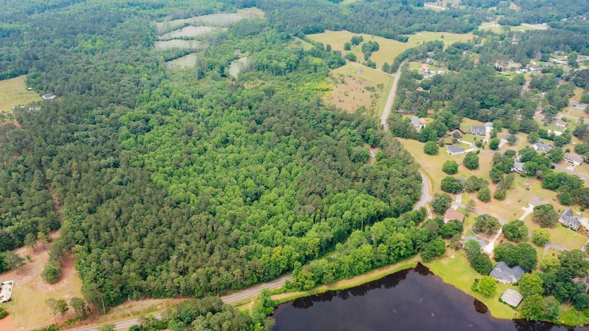 13.75 Acres Undeveloped Land with Timber: Mixed Hardwoods in North Aiken