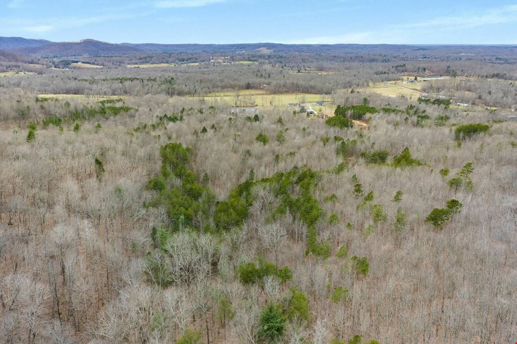 78.08 Acres - Winfield, TN