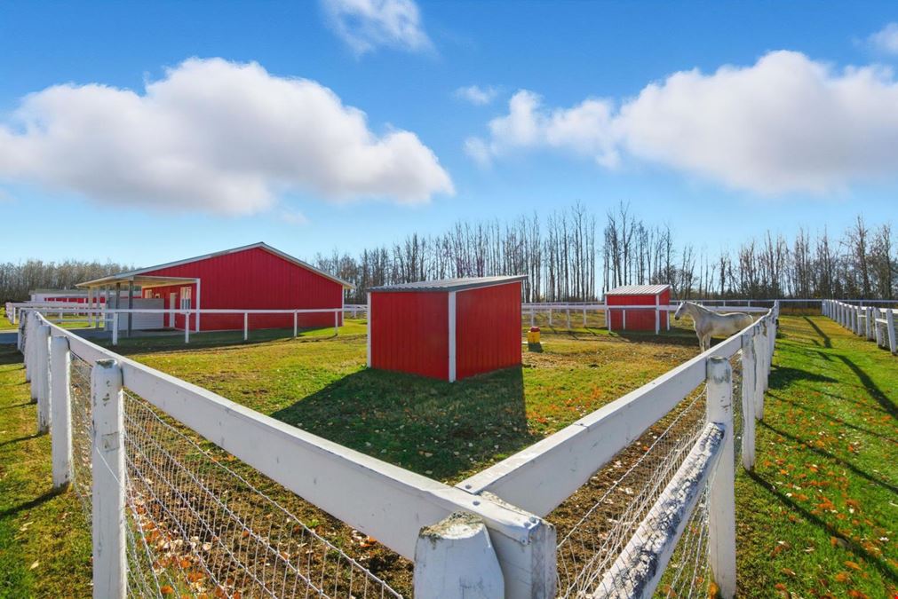 World-Class Equestrian in Central Alberta (Canada)