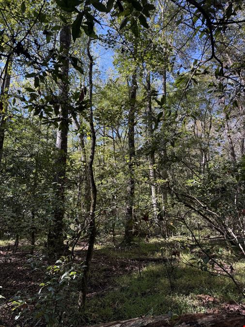 Timber & Recreation Tract