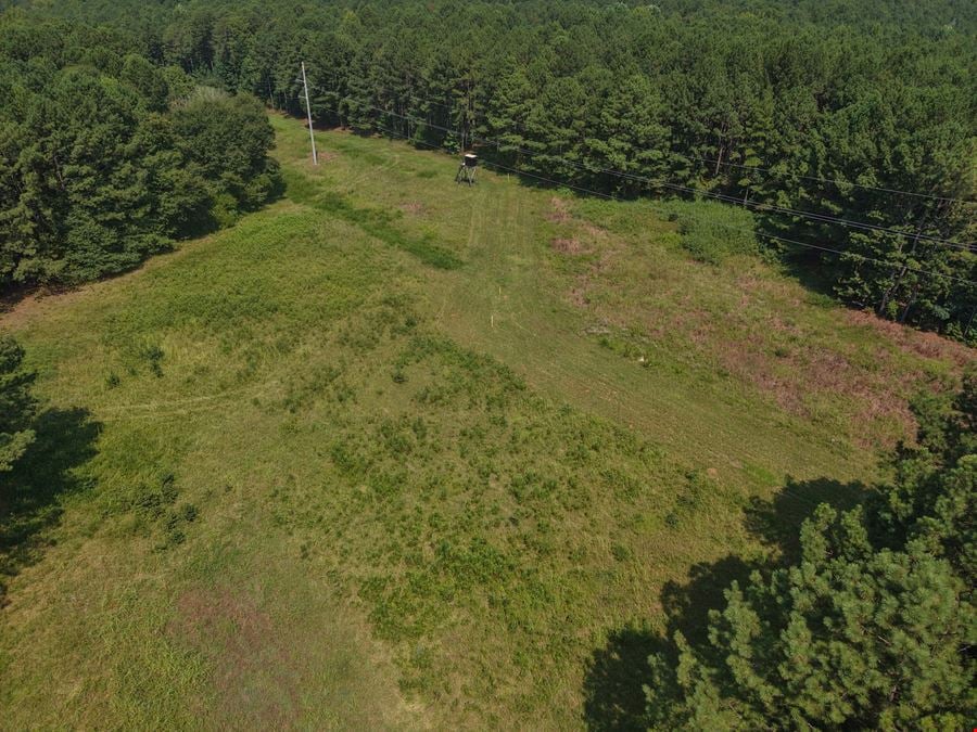 Dub Walker Rd - 314.47 Acres