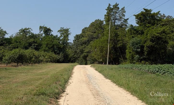 ±46.96-Acre Recreational & Residential Tract | Monetta, SC