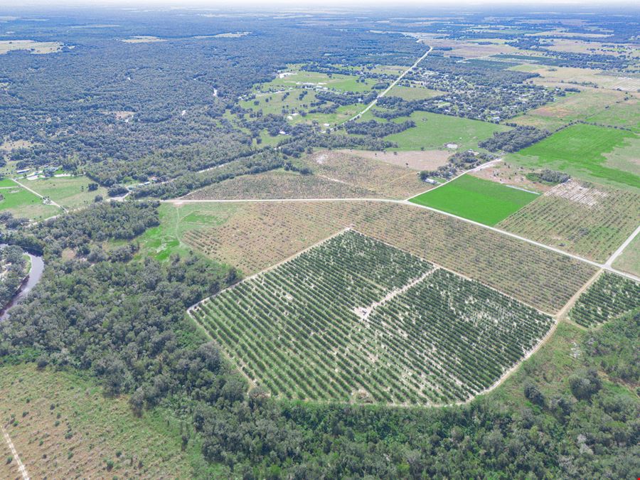 Peace River Mixed-Use Development Tract — 114± Acres | 18± AC Commercial | 2,179' on SR-64