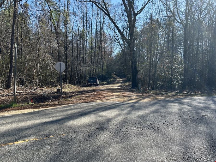 Hank Williams Road Hunting and Timber