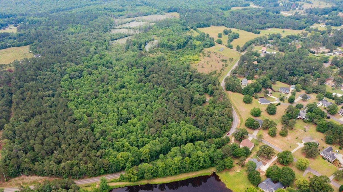 13.75 Acres Undeveloped Land with Timber: Mixed Hardwoods in North Aiken