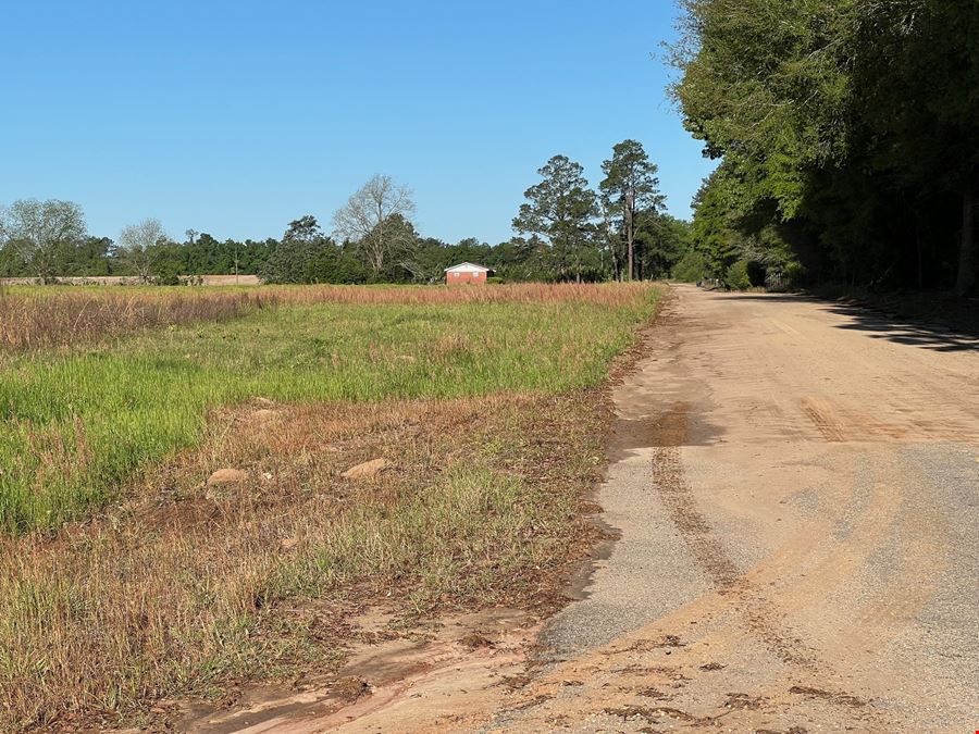 21.97 Acres of Versatile Land Near Florida & Georgia - Ideal for Homes, Recreation, and Investment
