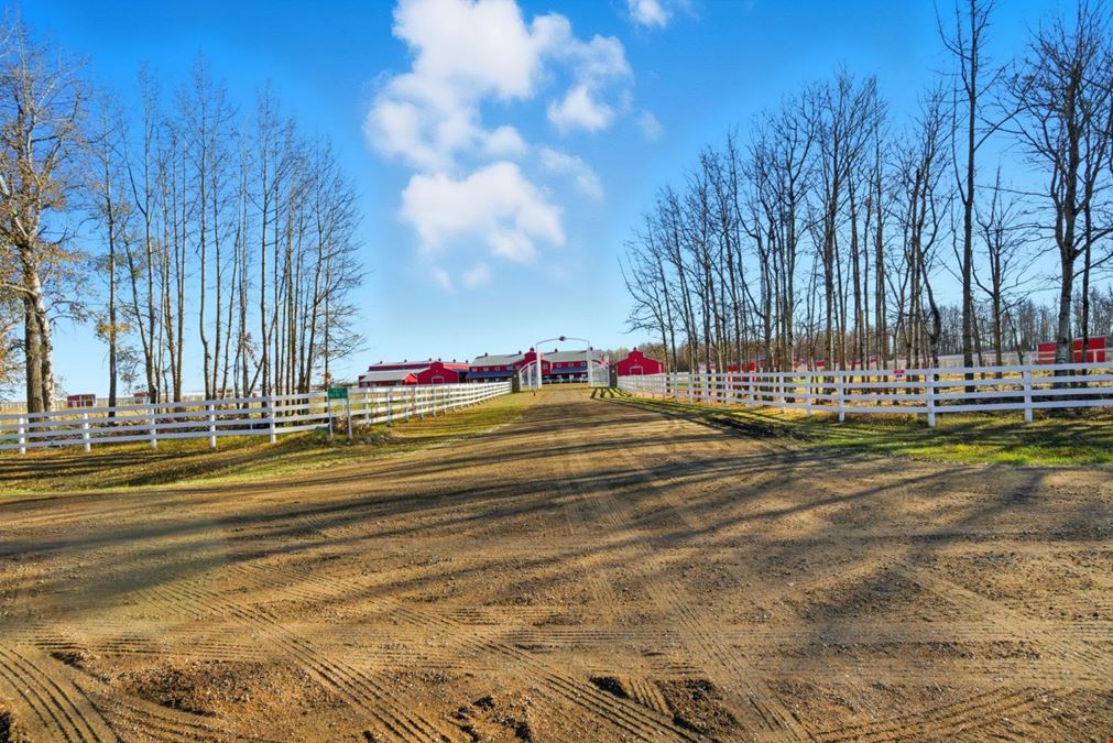 World-Class Equestrian in Central Alberta (Canada)