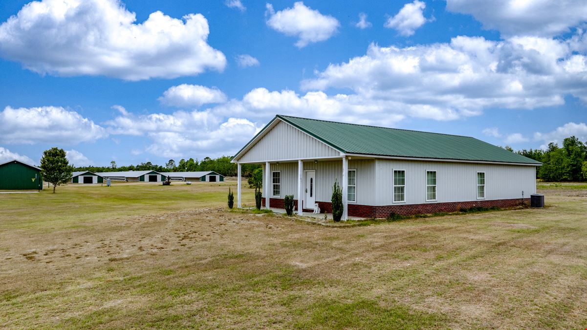 Timber Ridge Farm - Poultry and Homeplace Package
