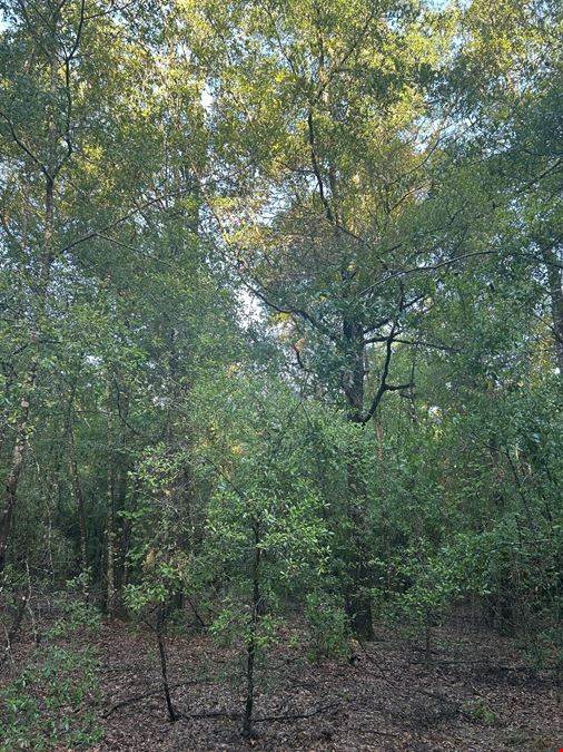 Fort White 58.7 Acres