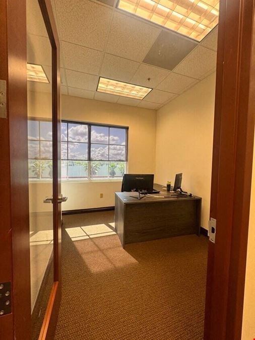 Professional Office