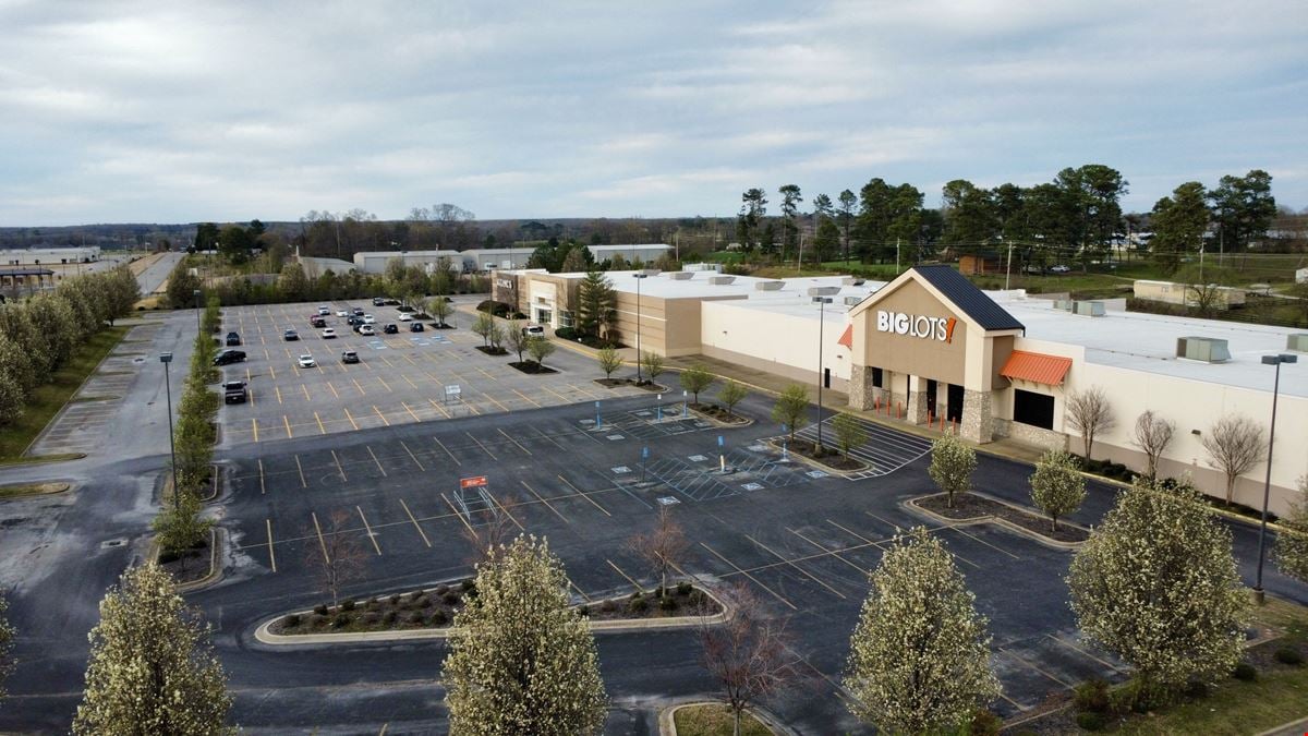 Big Lots - Florence, AL