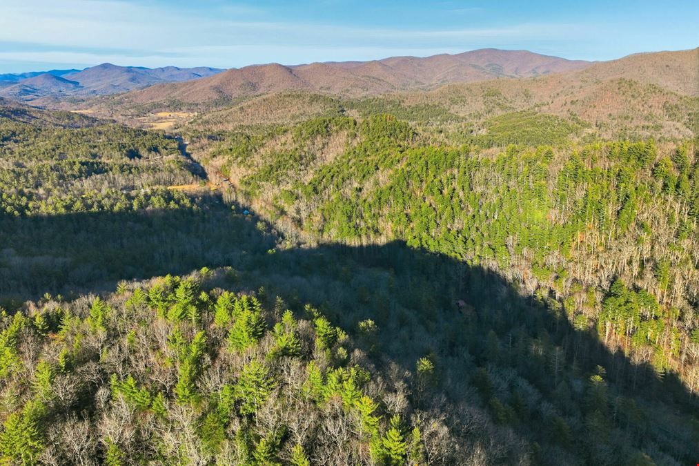 Prime Development Opportunity