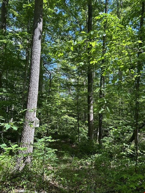 Goochland Land