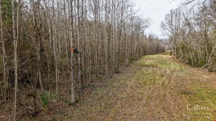 ±53.70-Acre Recreational Tract for Sale in Clinton, SC
