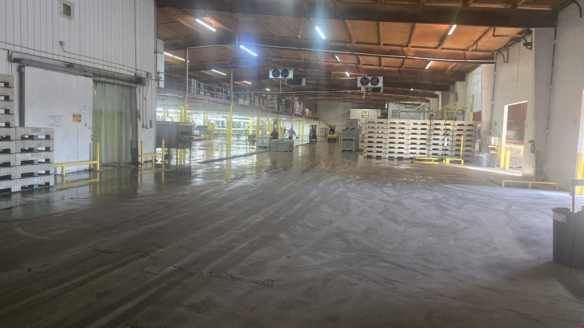 VAL VERDE VEGETABLE CO, INC-2200 Trophy Drive