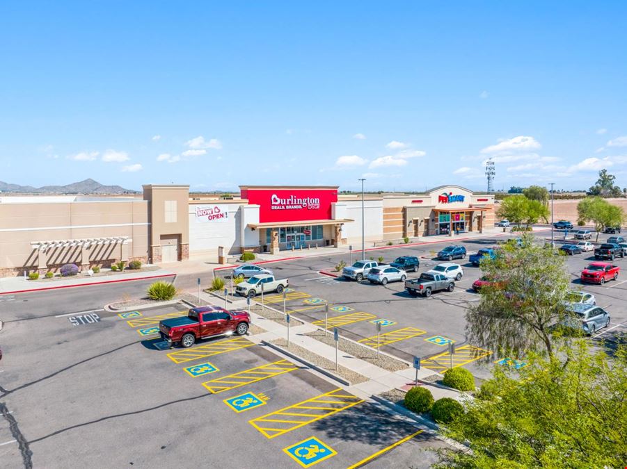 Burlington & PetSmart