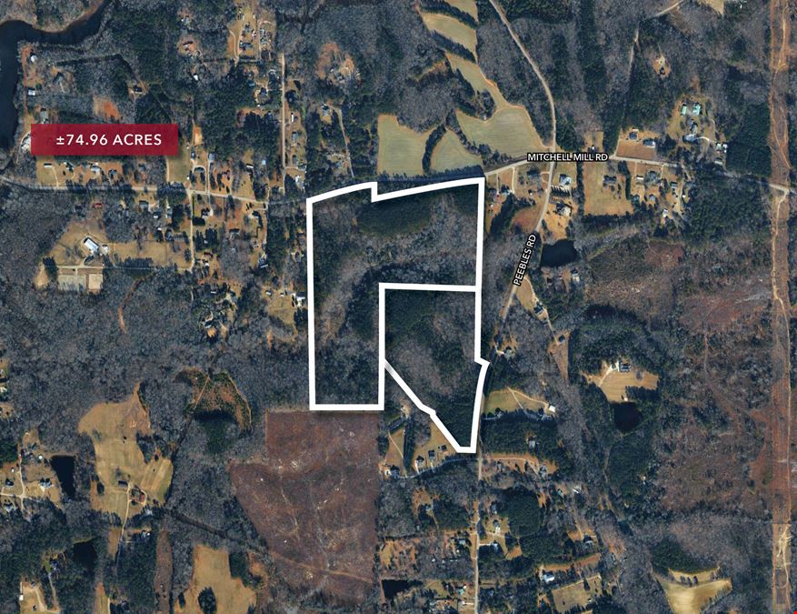 0 Mitchell Mill / 3305 Peebles Rd