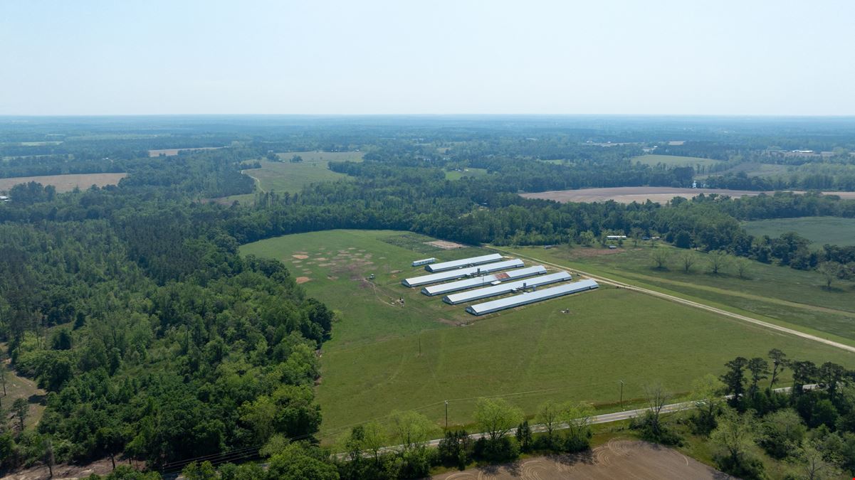 Tired Creek Chicken House and Game Farm