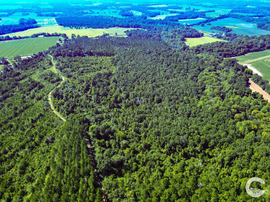 61 +/- Acres AG Land / Homesite in Columbia, AL