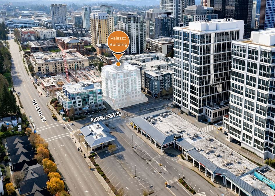 Palazzo Building (Dental Condo) For Sale