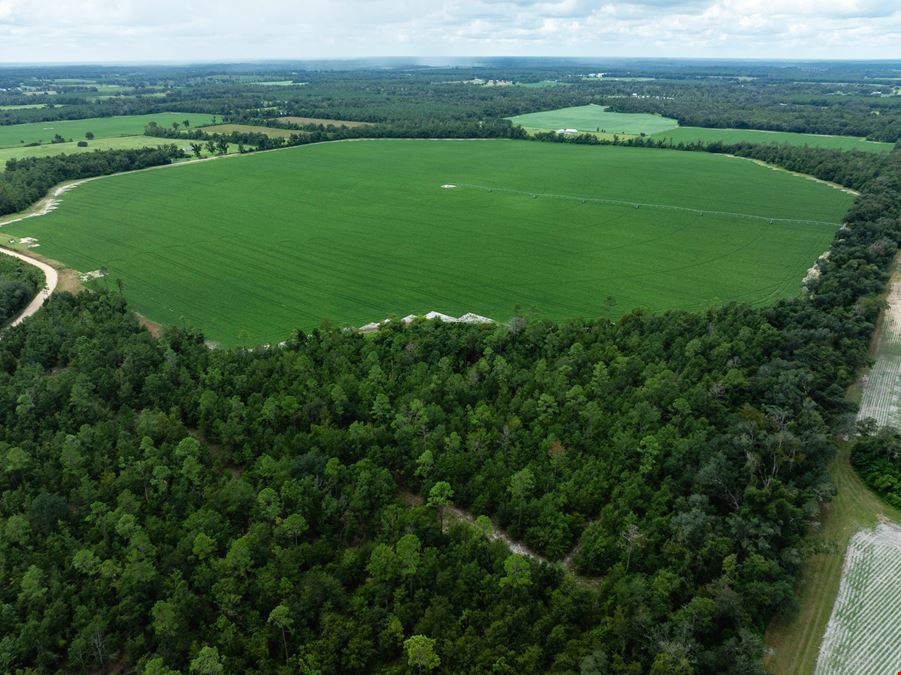 Rollings Farm - Madison County