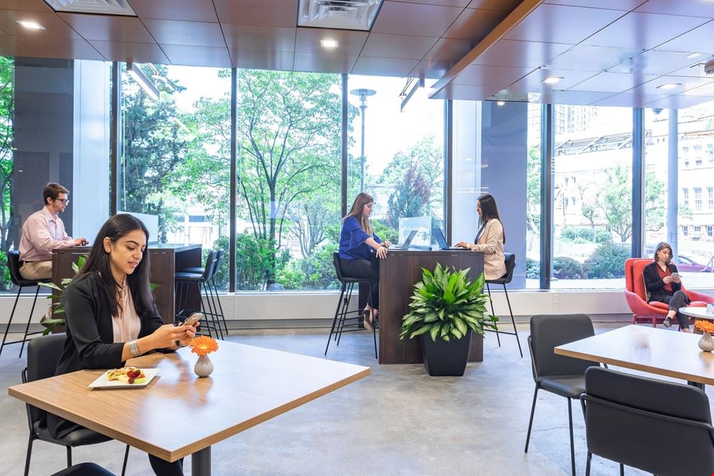 Serendipity Labs - White Plains
