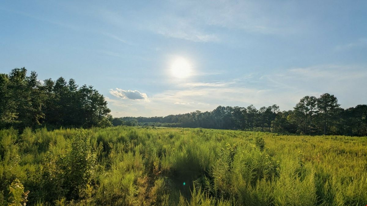 ±76 Acres McNeill Lake Rd
