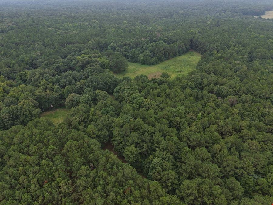 Dub Walker Rd - 314.47 Acres