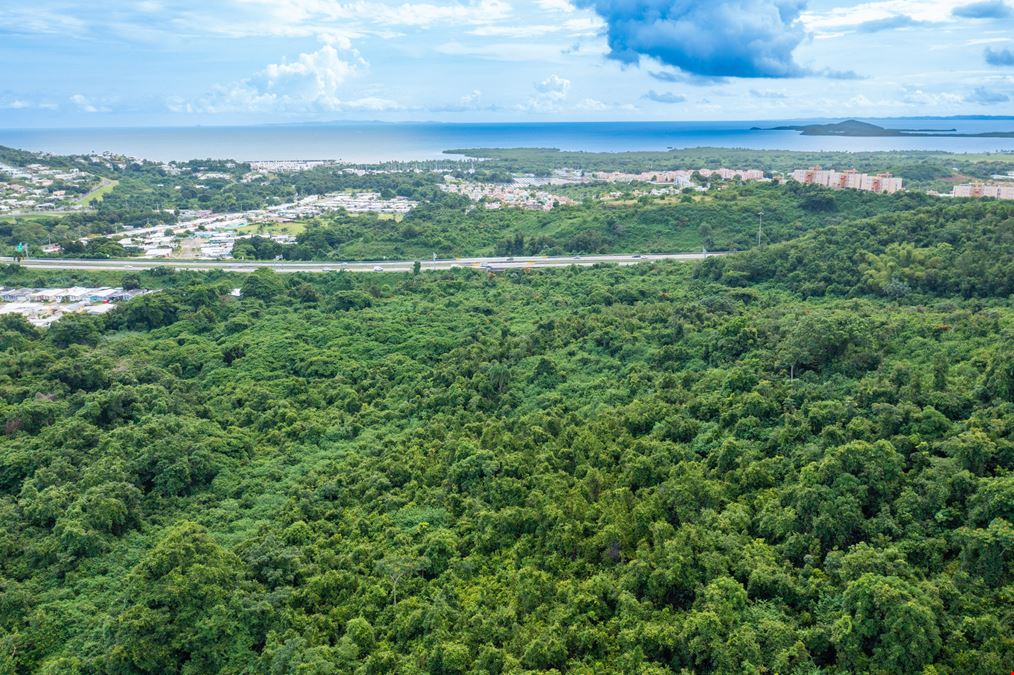 Vacant Lands Consisting 78 Cuerdas with Ocean Views in Ceiba - FOR SALE