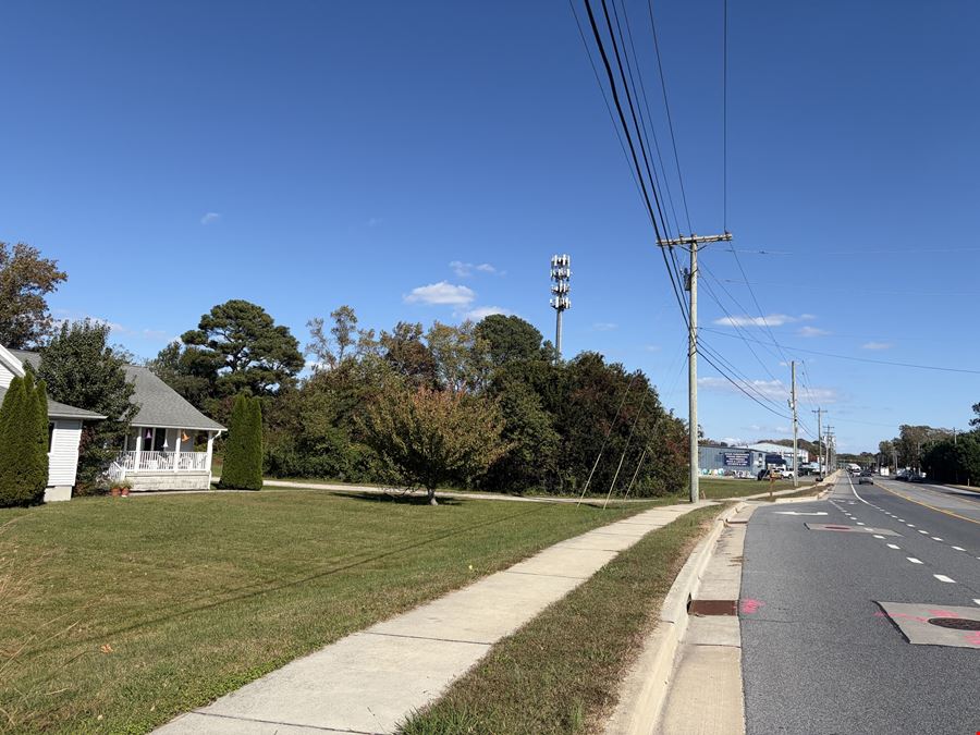 36487 & 36493 Lighthouse Road