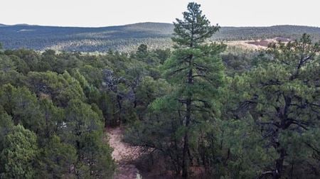 Preview of VacantLand space for Sale at 5 La Miranda