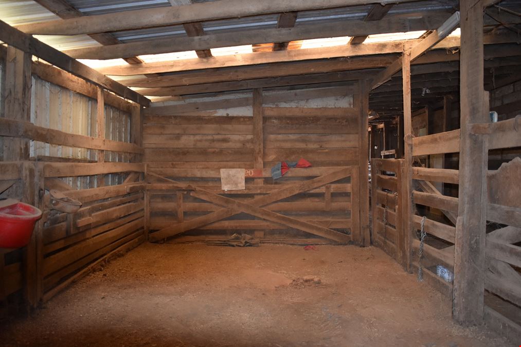 Saddlebrook Farm