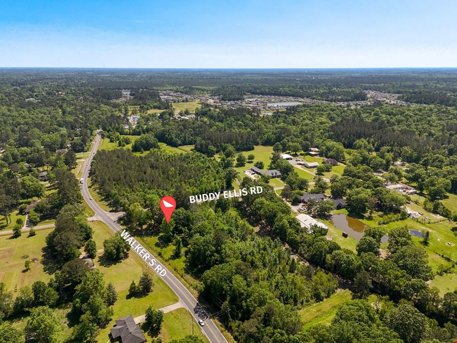 Corner Acreage with Development Potential Near I-12