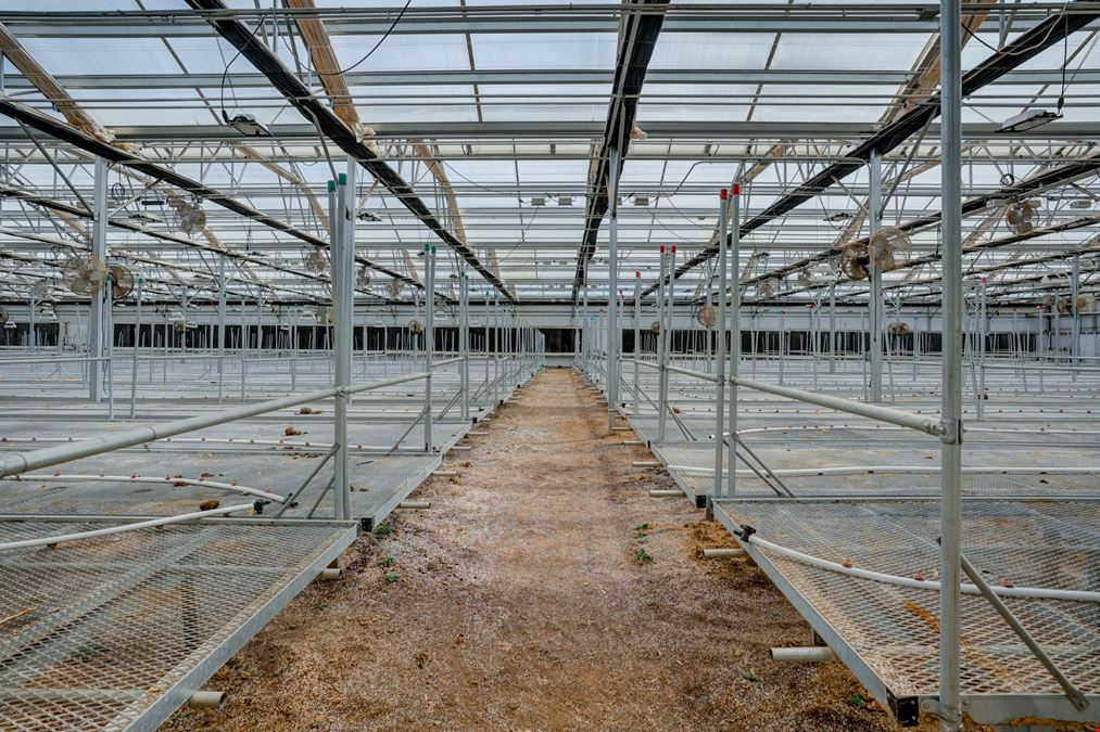 42,300 SF Flex Greenhouse Facility in Prescott Valley