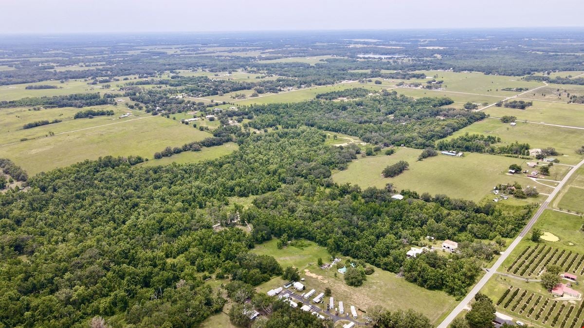 Curley Road Ranch