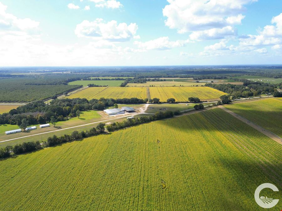 671 +/- Acres of Certified Organic Farmland in Decatur County, GA