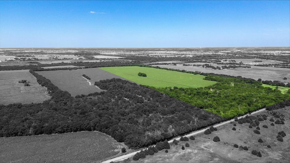 55 Acres for Sale in Royse City
