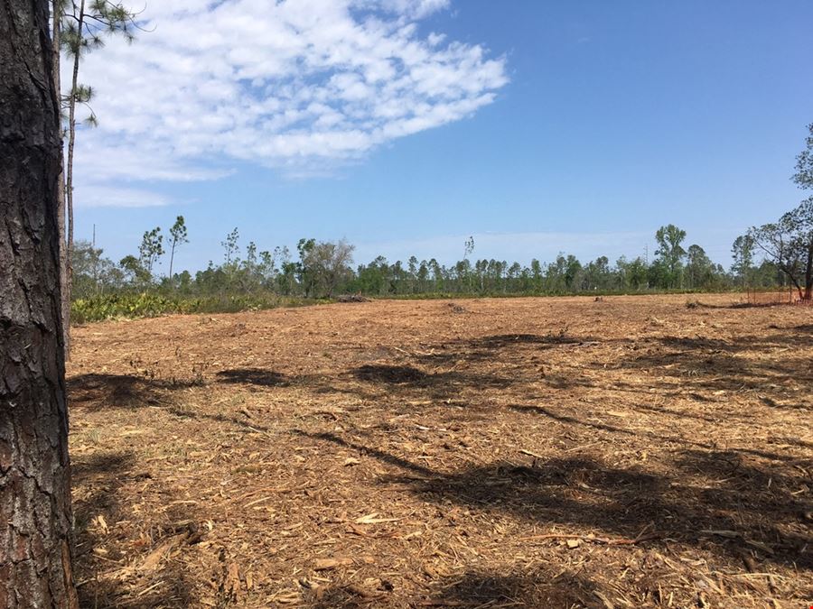 Retail Land Near Cecil Commerce Center at First Coast Expwy