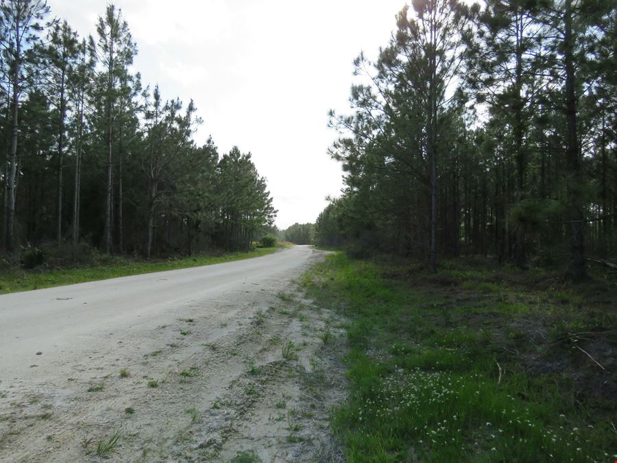 McGee Branch East Tract