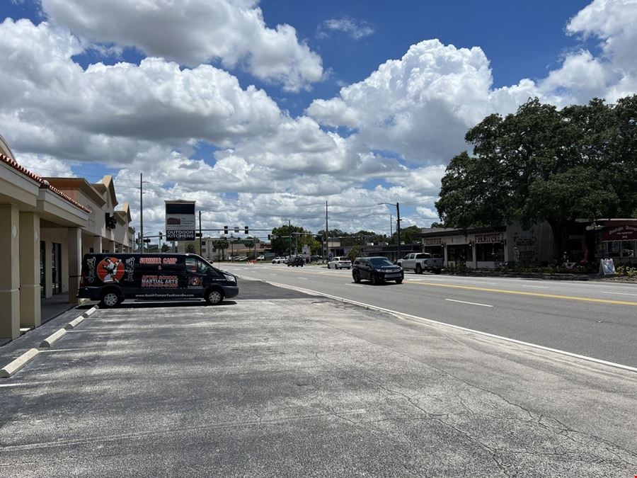 South Tampa Retail / Medical