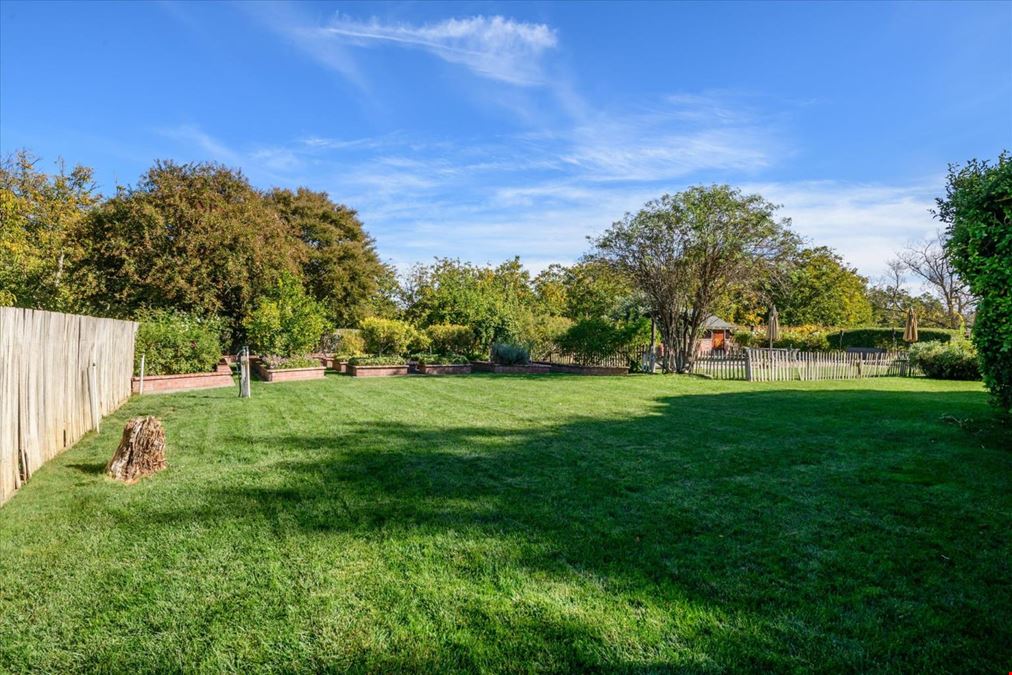 Organic Walnut Orchard & Processing Facility