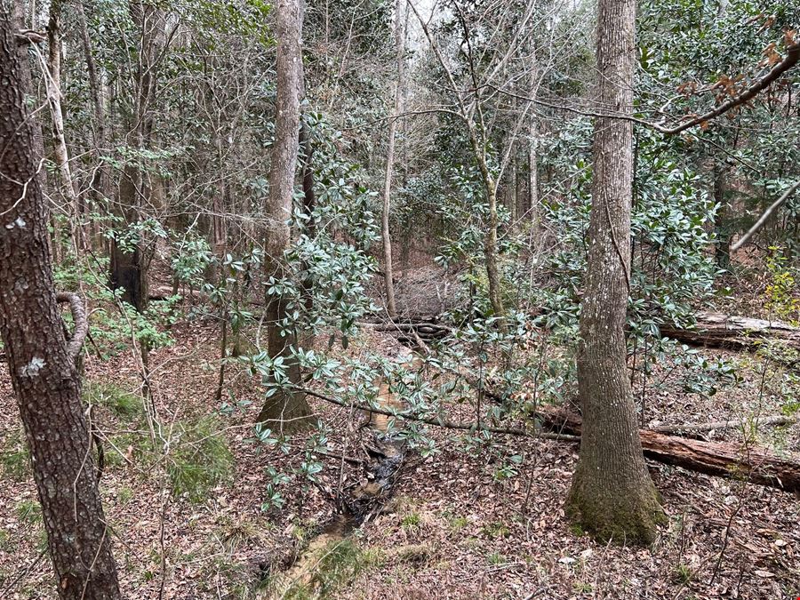 89 Acres in Early County, GA : Riverfront Property with Cabin and Outstanding Hunting Land